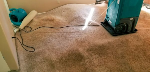 Carpet Water Extraction in West Chester