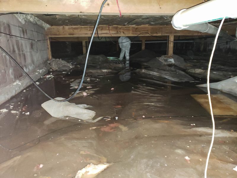Flood Damage Cleanup detail